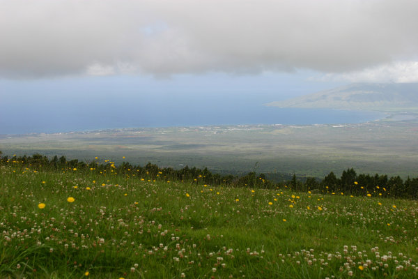 クラ・フォレスト保護区　Kula Forest Reserve
