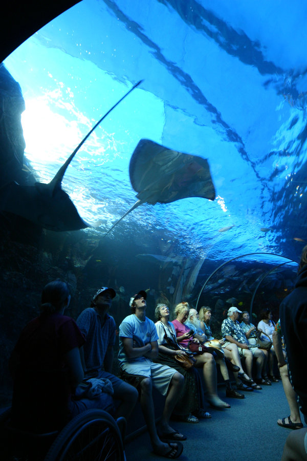 マウイ オーシャン センター　Maui Ocean Center