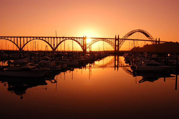 ニューポート　Newport