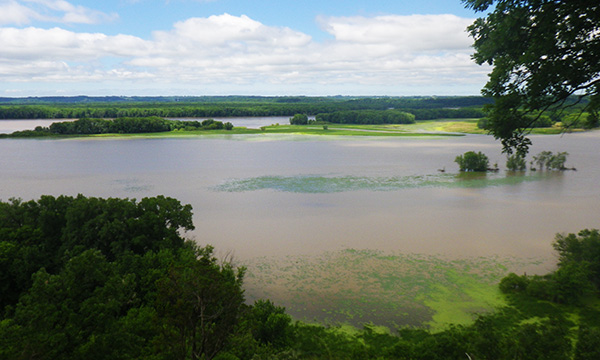ミシシッピ・パリセーズ州立公園　Mississippi Palisades State Park