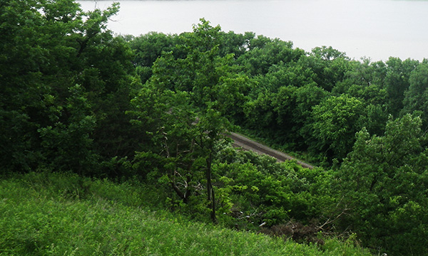 ミシシッピ・パリセーズ州立公園　Mississippi Palisades State Park