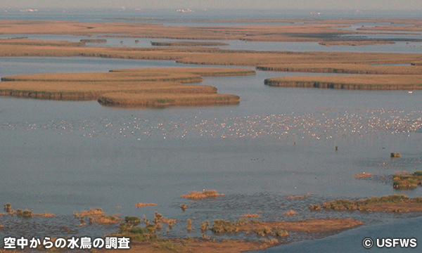 デルタ国立野生動物保護区