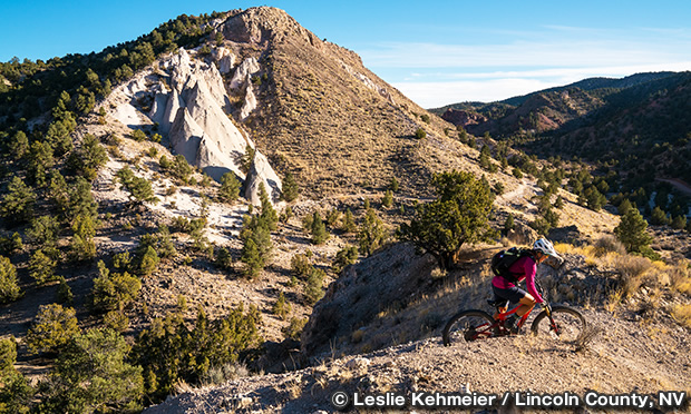 バーンズキャニオン・マウンテンバイク・トレイルズ　Barnes Canyon Mountain Bike Trails