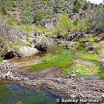 ビーバー・ダム州立公園　Beaver Dam State Park