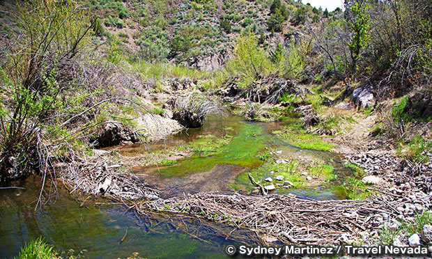 ビーバー・ダム州立公園　Beaver Dam State Park