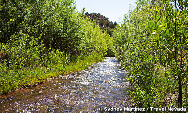 ビーバー・ダム州立公園　Beaver Dam State Park