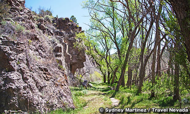 ビーバー・ダム州立公園　Beaver Dam State Park