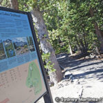 ブリストルコーン・アルパインレイクス・トレイル　Bristlecone/Alpine Lakes Trail
