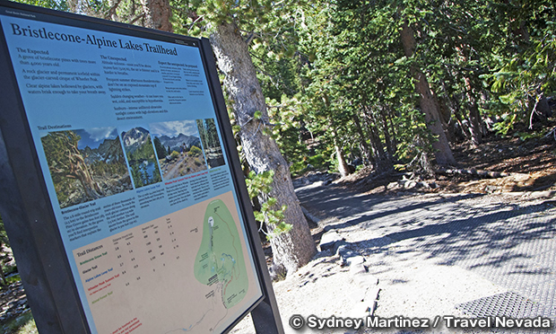 ブリストルコーン・アルパインレイクス・トレイル　Bristlecone/Alpine Lakes Trail