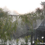 キャメロン・プレイリー国立野生動物保護区