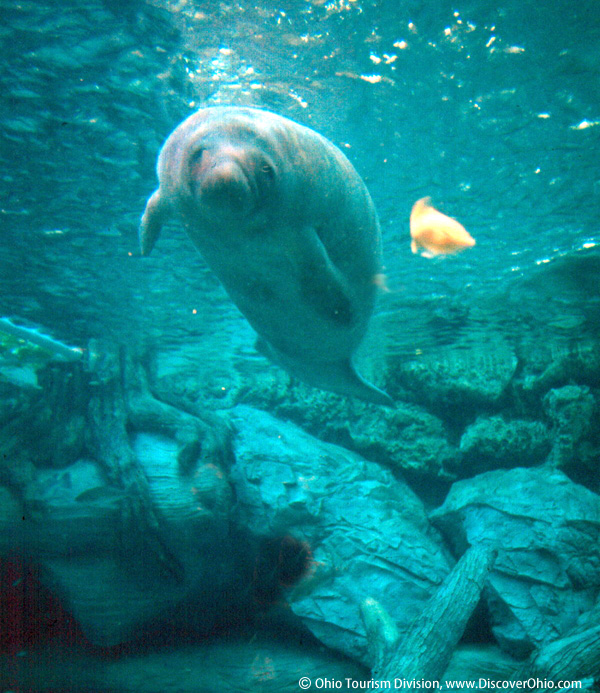 シンシナティ動物園　Cincinnati Zoo & Botanical Garden