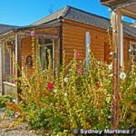 イーリー・ルネッサンス・ヴィレッジ　Ely Renaissance Villag