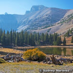 グレートベースン国立公園　Great Basin National Park