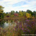 キャスリン・アルバートソン・パーク Kathryn Albertson Park