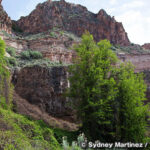 カーショウ＝ライアン州立公園　Kershaw-Ryan State Park