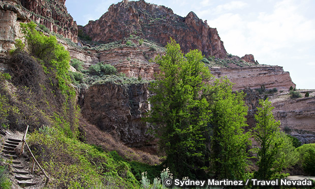 カーショウ＝ライアン州立公園　Kershaw-Ryan State Park