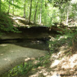 ナチェズ トレース パークウェイ Natchez Trace Parkway
