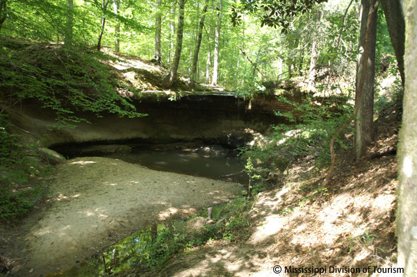 ナチェズ トレース パークウェイ Natchez Trace Parkway