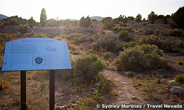 オーク・スプリングス・トリロビート・エリア　Oak Springs Trilobite Area