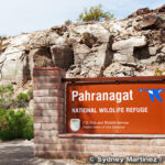 パラナガット国立野生動物保護区　Pahranagat National Wildlife Refuge