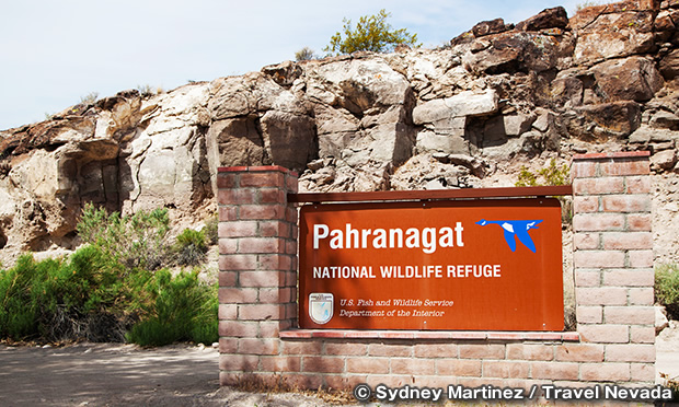 パラナガット国立野生動物保護区　Pahranagat National Wildlife Refuge