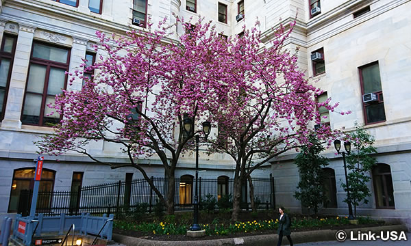 フィラデルフィア市庁舎