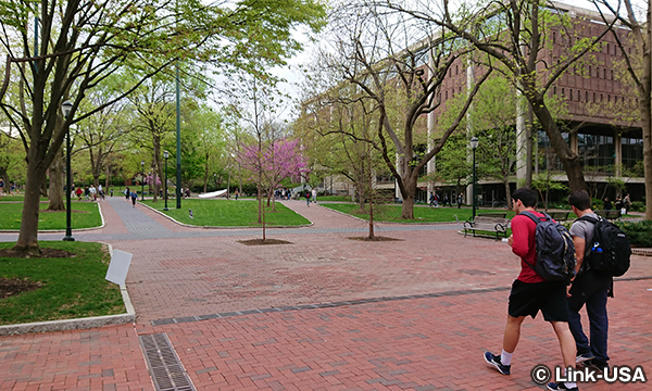 ペンシルベニア大学とペンミュージアム