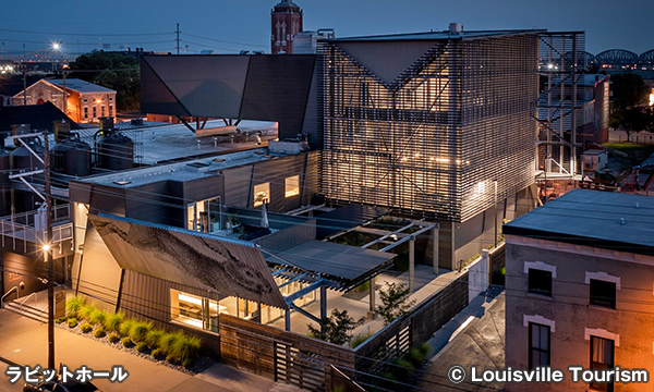 ラビットホール Rabbit Hole