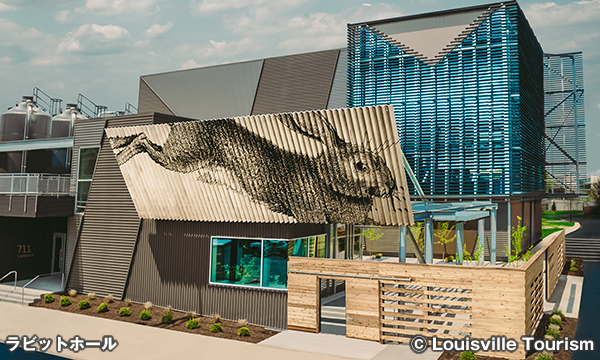 ラビットホール Rabbit Hole