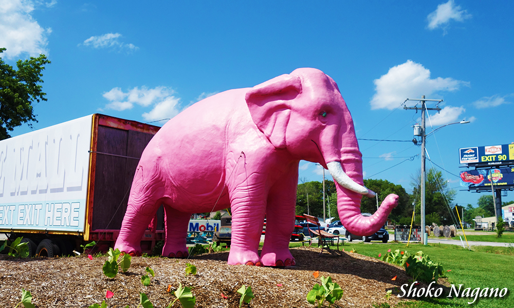 ピンク・エレファント・アンティック・モール