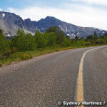 ホイーラー・ピーク・シニック・ドライブ　Wheeler Peak Scenic Drive