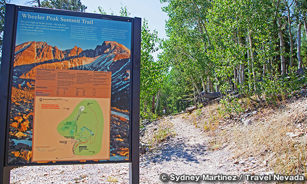 ホイーラー・ピーク・サミット・トレイル　Wheeler Peak Summit Trail