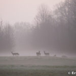 グランドコート国立野生生物保護区