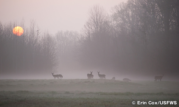 グランドコート国立野生生物保護区