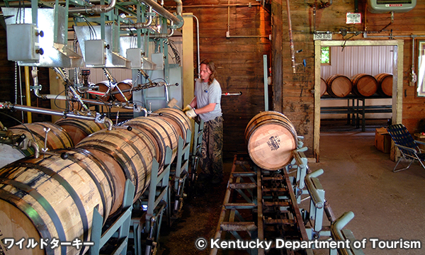 ワイルドターキー Wild Turkey