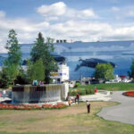 ダウンタウン　Downtown