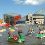 ナショナル水族館　National Aquarium