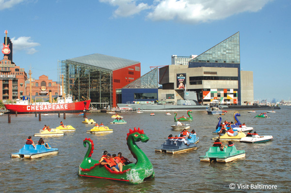 ナショナル水族館 National Aquarium