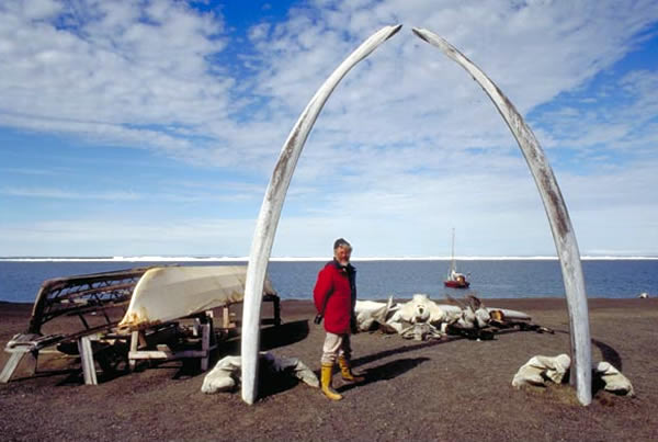 北極圏　Arctic Circle