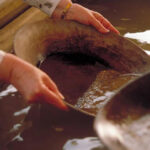 エル・ドラド・ゴールドマイン