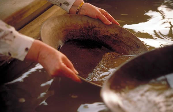 エル・ドラド・ゴールドマイン