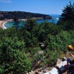 アーカディア国立公園 Acadia National Park
