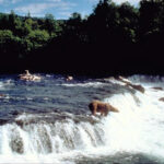 カトマイ国立公園　Katmai National Park and Preserve