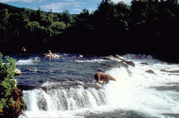 カトマイ国立公園　Katmai National Park and Preserve