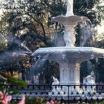 サバンナ　Savanna