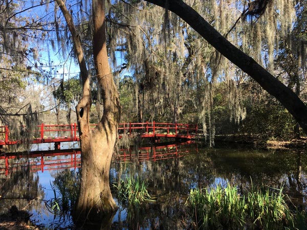 ベストシティに選ばれる人気都市チャールストン