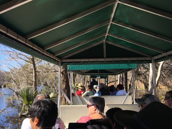 ベストシティに選ばれる人気都市チャールストン