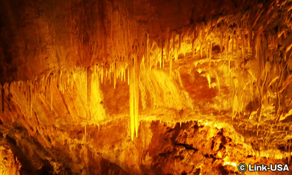 グレンウッド洞窟冒険パーク Glenwood Caverns Adventure Park