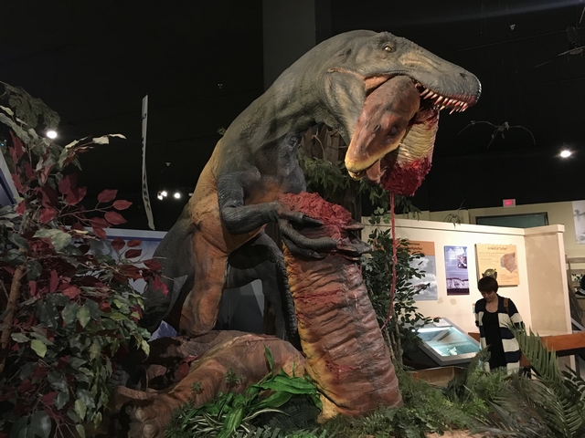 ダイナソージャーニー博物館 Dinosaur Journey Museum