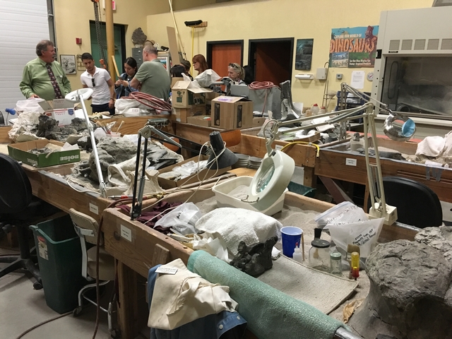 ダイナソージャーニー博物館 Dinosaur Journey Museum